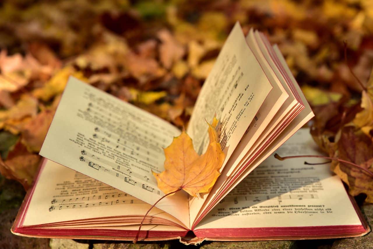 Pourquoi La Bibliographie De Votre Mémoire De Fin D’études Est-Elle Un Facteur Clé De Succès ?