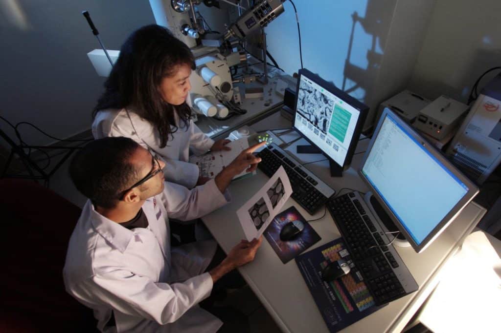 Un guide des différents niveaux de langue dans la rédaction académique