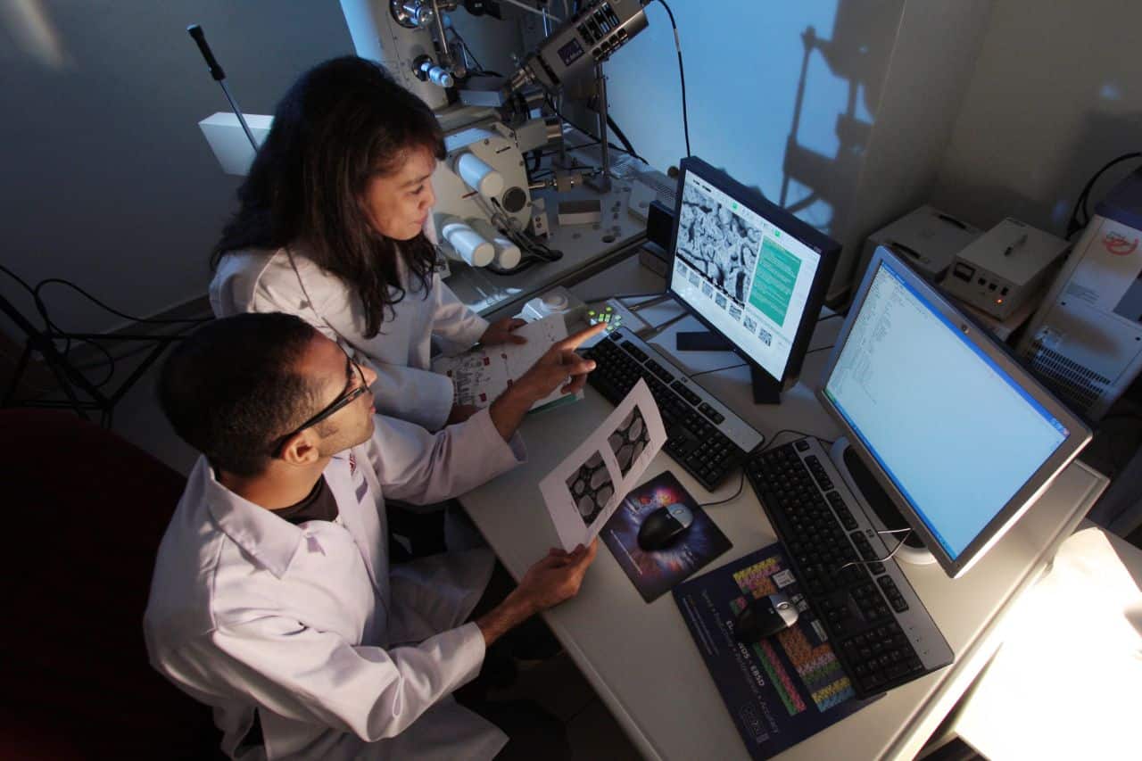 Un guide des différents niveaux de langue dans la rédaction académique